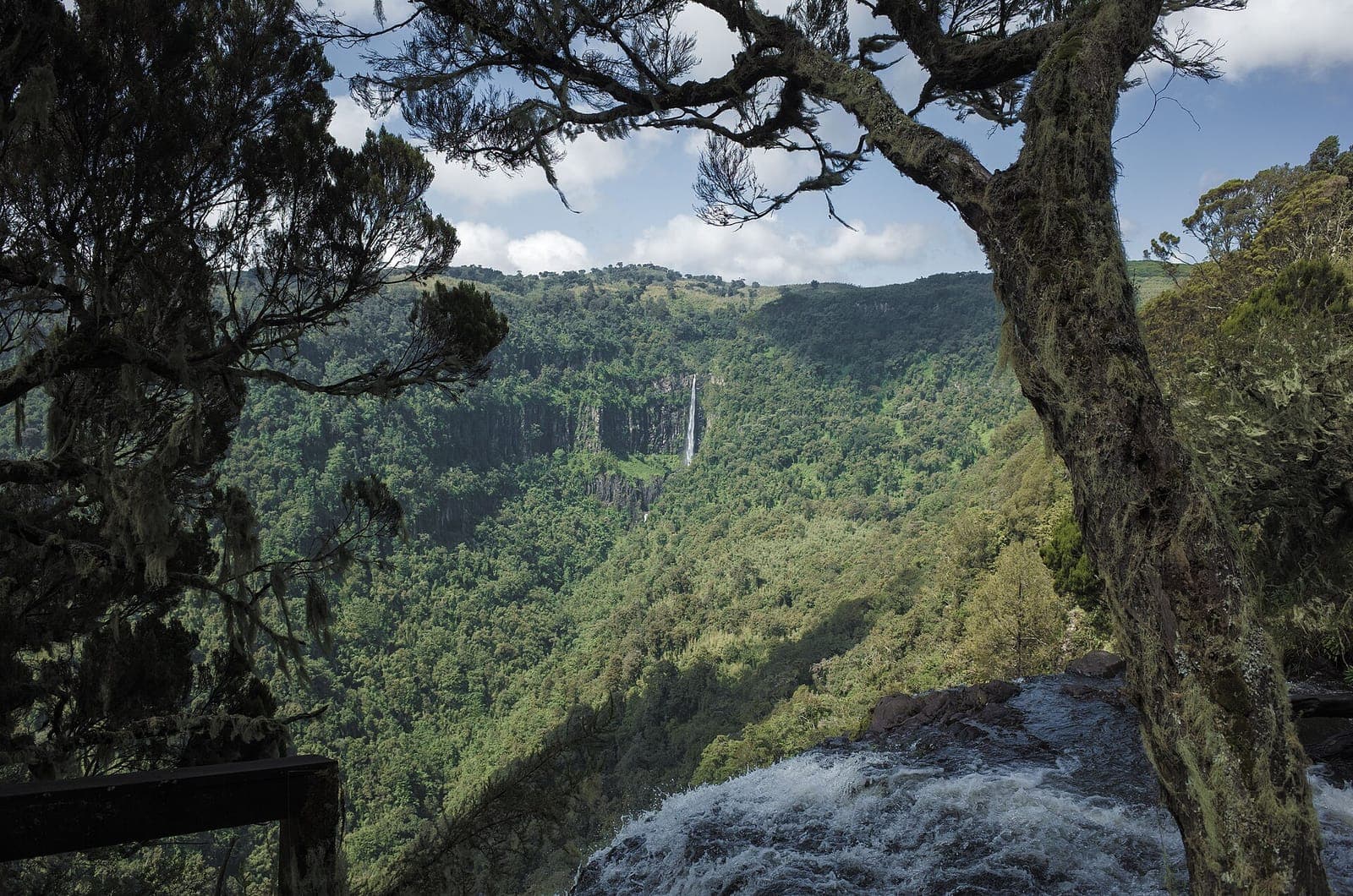 Gura Falls in a forested valley, seen from the top of Karuru Falls in Aberdare National Park