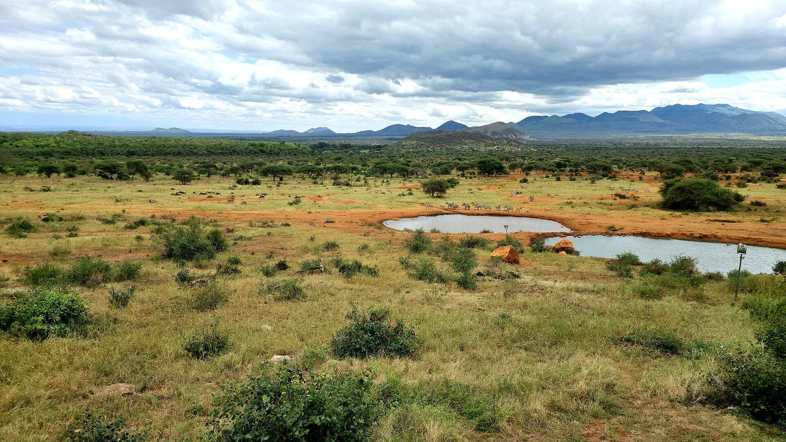 The open plains of Tsavo West National Park