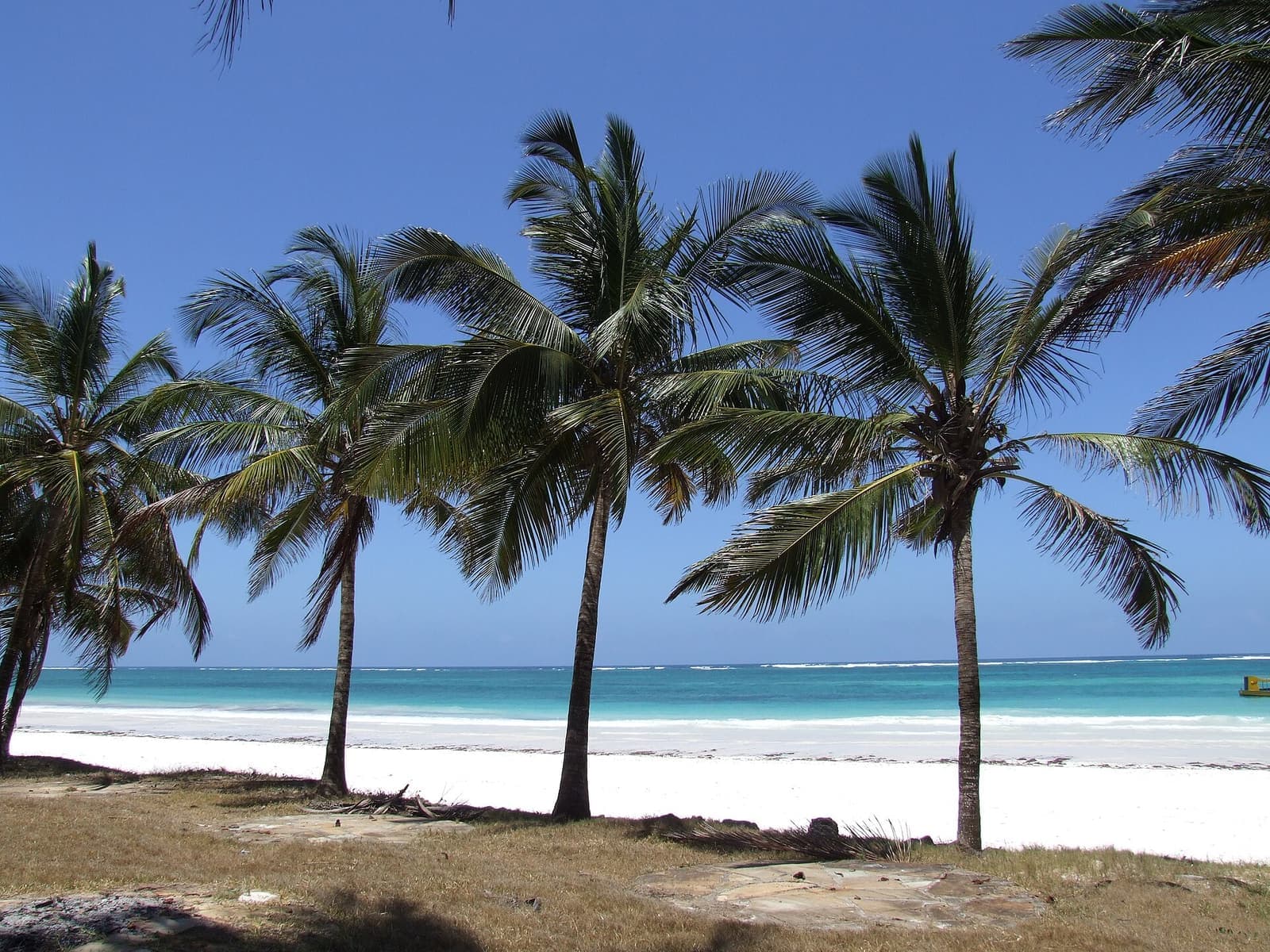 Diani Beach 03