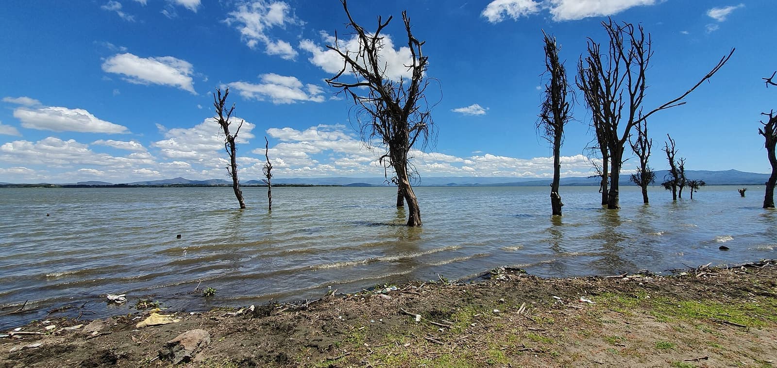Lake Naivasha Shoreline